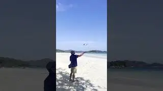Flying drones in Seychelles is 😍 #shorts #seychelles #drone #djimini2