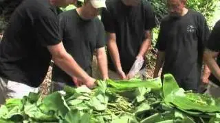Hawaii ANG Cultural Training