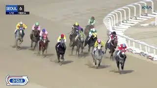 (Seoul) 2026.01.10 R6 Class 5 (1300M) Handicap