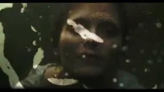 Chaos Overtakes (Lyric Video)