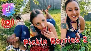 Picking Strawberries and Eating Them in The Pose (Part 2)