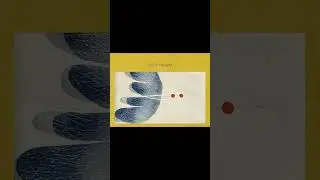 #LofiFocus #jazzfusion  #LofiHop #coffeeBreak #SoftLofi #Downtempo #JazzSampling #LofiMix