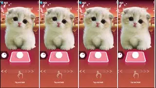 CUTE CATS BTS FAKE LOVE & TILES HOP EDM RUSH