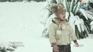 ЛАВҲА БАРФ