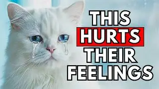 Stop Doing These Things! Your Cat Feels It 😿