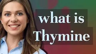 Thymine | meaning of Thymine