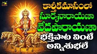 Suryanarayana Veda Parayana | Powerful Aditya Dev Vedic Chanting | Lord Surya Mantra