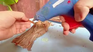 废弃树皮变身绿意艺术｜Succulent Art from Discarded Bark – Eslite Greenhouse DIY Magic!