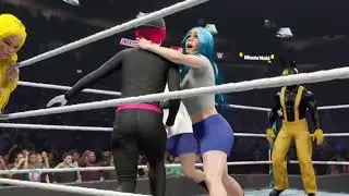 End of January 30 person royal rumble