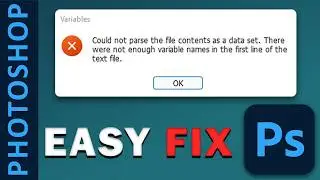 Could not parse the file contents as a data set Fix - photoshop