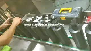 Dual heads tracking type filler screw capper with manual feeding spray pumps
