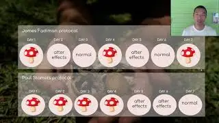Microdosing Psilocybin 101 -- Intro to Microdosing Magic Mushrooms