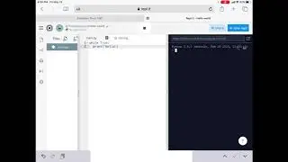 Python Infinite Loops