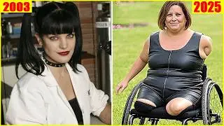 Life After NCIS: The Amazing Turns of Events for the Cast in 2025