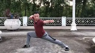 Let's do some Chang Quan Combo 01 - Wushu Taolu
