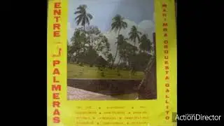 El Tao Tao - Marimba Orquesta Gallito &ldquo;La Soberana&rdquo; &Aacute;lbum: Entre Palmeras