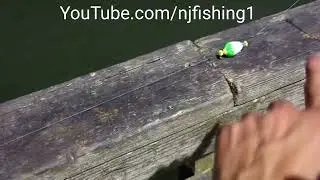 how to catch ribbon fish at kiptopeake state park fishing pier?