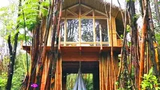 This tiny off-grid Hawaiian home cost just $11,000 to build