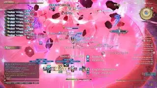FINAL FANTASY XIV Zelenia EX PLD PoV