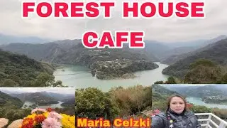 Forest House Cafe💛💛💛