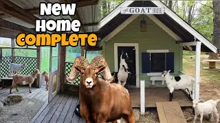 NEW HOME COMPLETED 😍 CUTEST HOUSE EVER
