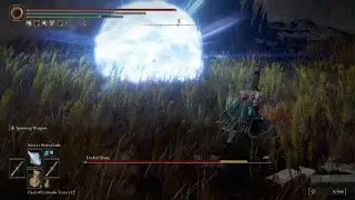 Dryleaf Dane (Mage build) Shadow of the Erdtree