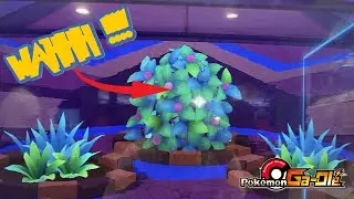 *SKEM BUSH??* Pokemon Ga-Ole: Rush Part 1 Gameplay