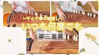 千と千尋の神隠しより【いつも何度でも】&ldquo;Always With Me&rdquo; from Spirited Away〜箏三重奏〜