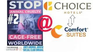 LIVE Chicken at Comfort Suites Choice Hotel Protest Saturday October 25th 2025 in Lincoln Ne