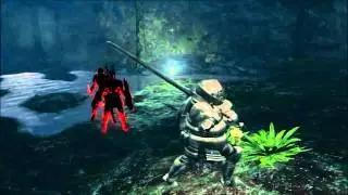 Dark Souls: Farb & Fox Double Kill