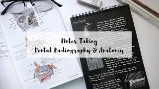 Study with Me | How I take notes for dental school