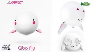 Подарок Qbo Fly что за зверь такой:)))