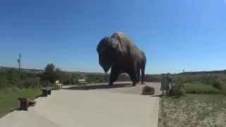 National Buffalo Museum ND