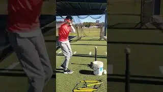 Best Bat Professional Swing #shorts #pro Bat Speed #baseballtraining #intro #shorts