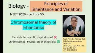 Chromosomal theory of inheritance Sutton & Boveri Class 12 NCERT Chapter Genetics #neet #neet2026