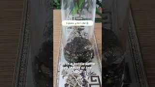 How to cold brew tea #coldbrew #tea #teashorts #summerdrink