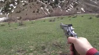 smith wesson 686 357 magnum