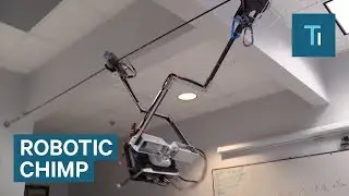 This robotic chimp could change how we grow food