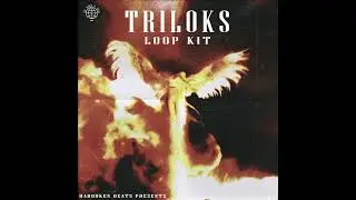 DON TOLIVER LOOP KIT - 