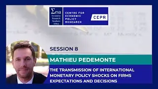 Session 8: Transmission of International Monetary Policy Shocks on Firms' Expectations and Decisions