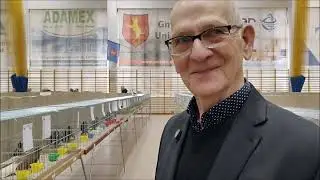 Zamojskie na wystawie gołębi Unisław 2025