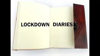 Lockdown diaries, Mount Carmel School Dwarka
