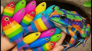 Catching Rare Aquarium Fish in Clear Water with Cute Turtles
