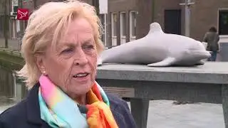 De Dolfijn