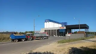 Wywóz pszenżyta na skup