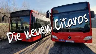Neue Citaros für Vehling Reisen die Abholung