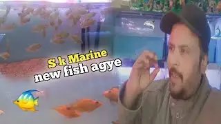 S۔K Marine pe new fish🦈🐠 aagye||Danidanishvlog||