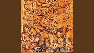 Prey Animals