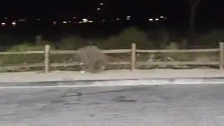 Unexplainable lights in night sky in high desert