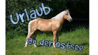Urlaub 2017 [Musikvideo]